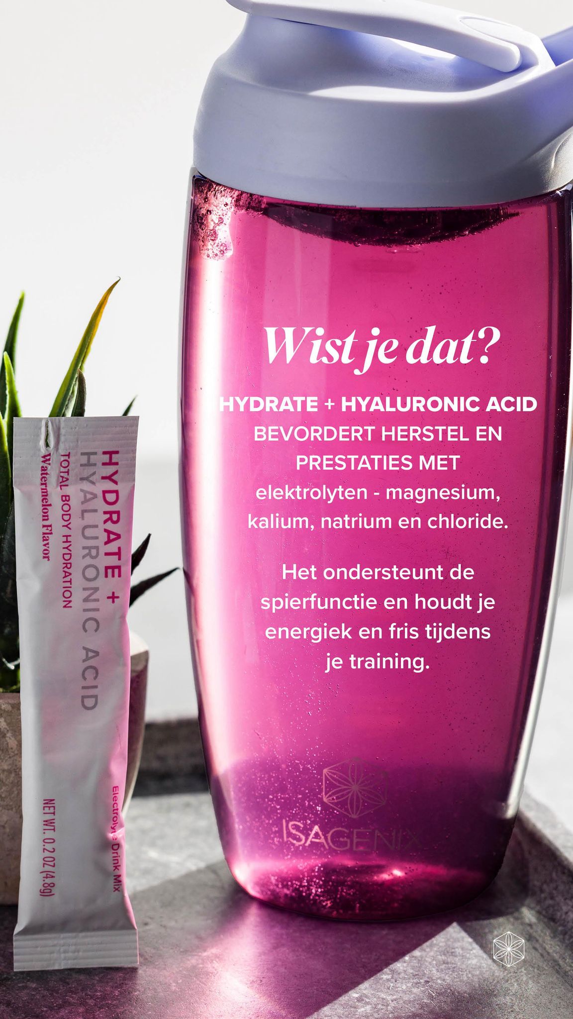 Glow van binnenuit – Hydrate + Hyaluronzuur met elektrolyten (Isagenix)